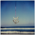 for Jill Platner (Series)