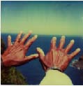 hands (Series)